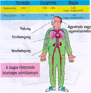 a magas vérnyomás oka a vér a magas vérnyomás népi receptjeiből