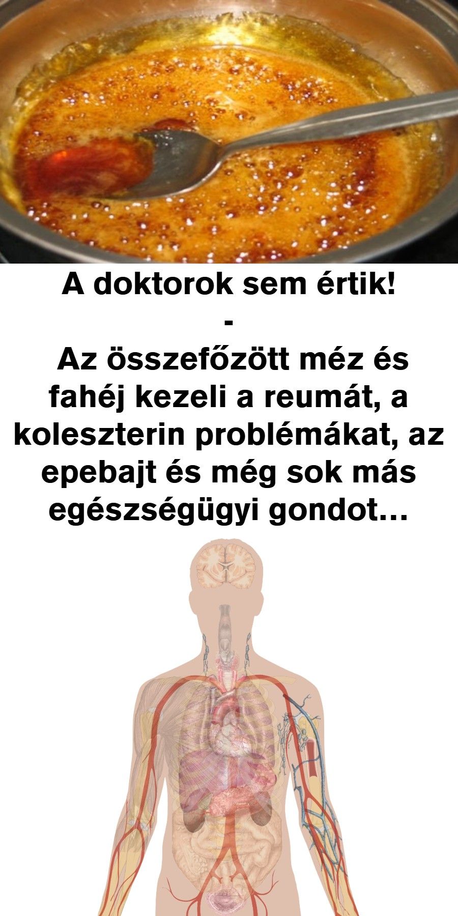 magas vérnyomás-megerősítés