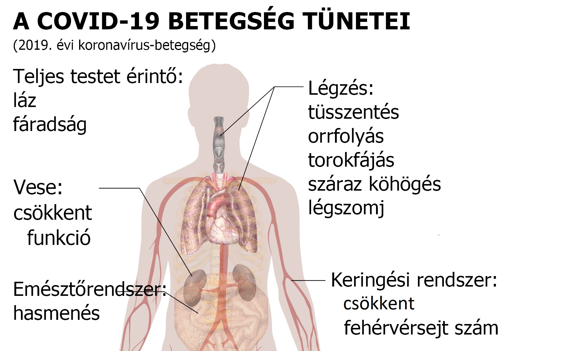 ha a magas vérnyomás 30 éves korban kezdődött magas vérnyomás tört feje
